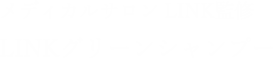 メディカルサロン LINK監修LINKグリーンシャンプー